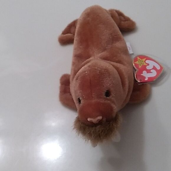 Ty Beanie Baby  - Picture 1 of 5